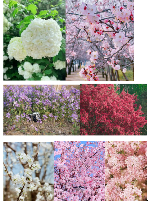 443febac535e45cfbfb33af75ed8c324.png 97701716cd300afd9e57bb06b894ddc4.png