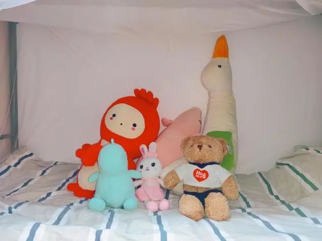 a359104dde504f27aaa69fb7f61a5698.jpg d82386090fc57122450c89461feb23eb.jpg